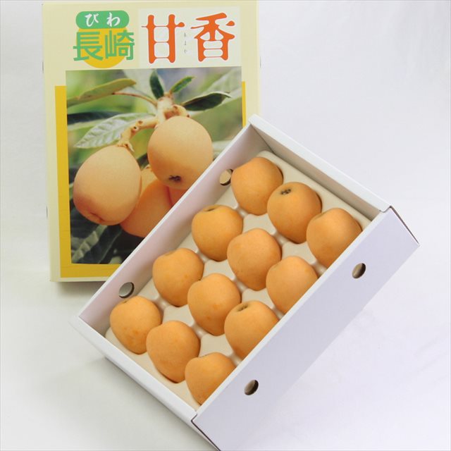 長崎産　甘香びわ(あまかびわ)　【秀品】産地化粧箱入