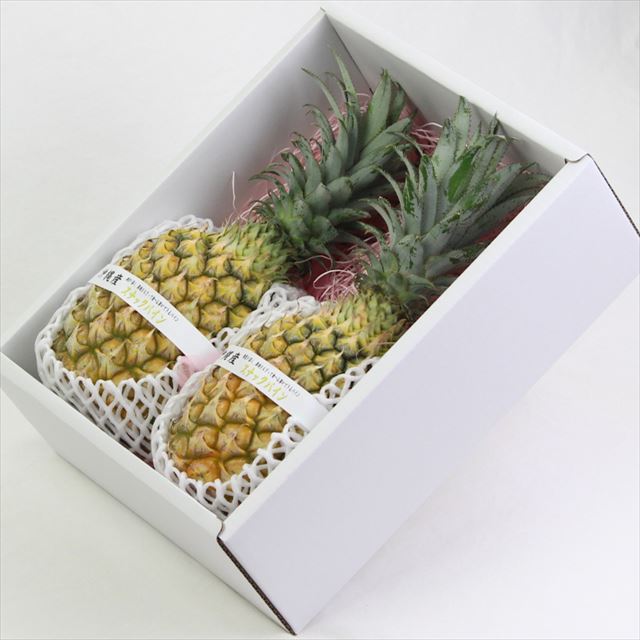 沖縄産スナックパイン　2玉化粧箱入