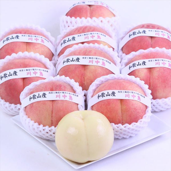 和歌山産川中島白桃【秀品】13～15玉産地化粧箱入　