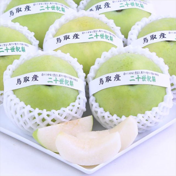 鳥取産露地二十世紀梨【赤秀品】玉産地箱入