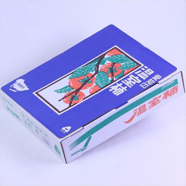 愛知産温室次郎柿【秀品】産地箱入