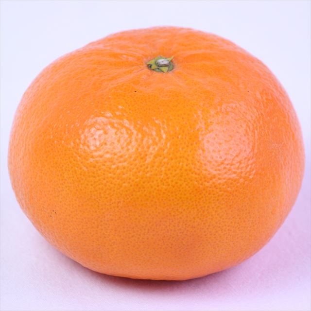 佐賀産はまさき 【赤秀品】6玉入化粧箱