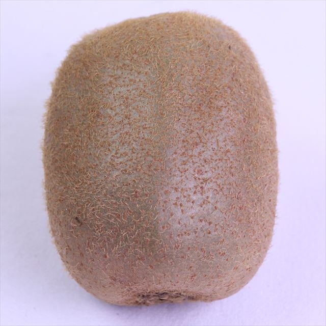 愛媛JAたいき産甘熟キーウィ「愛み(まなみ)キーウィ」10玉化粧箱入