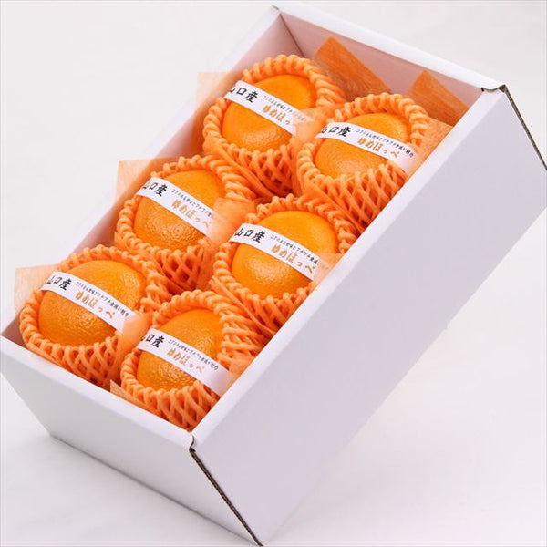山口産ゆめほっぺ(せとみ柑橘)【秀品】 2.5㎏化粧箱入