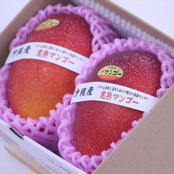 沖縄産完熟マンゴー2Lサイズ2玉産地化粧箱入 – フルーツギフト
