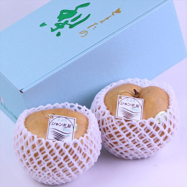 愛知産あたご梨【秀品】2玉産地化粧箱入