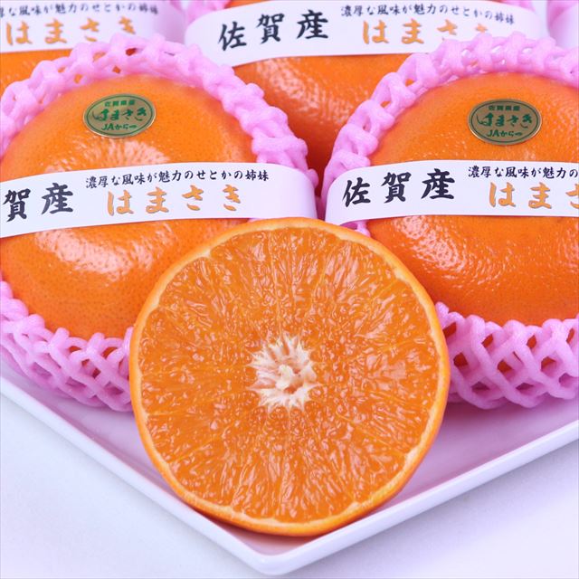 佐賀産はまさき 【赤秀品】6玉入化粧箱
