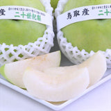 鳥取産ハウス二十世紀梨【赤秀品】9玉化粧箱入