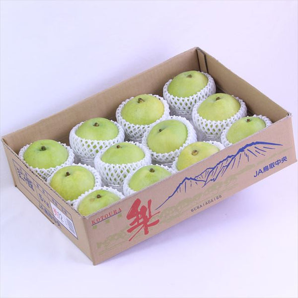 鳥取産ハウス二十世紀梨【赤秀品】12～14玉産地箱入