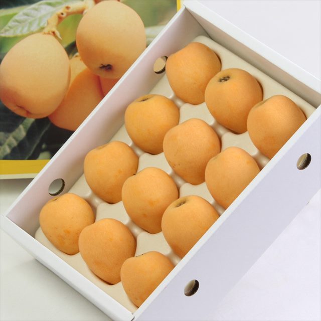 長崎産　甘香びわ(あまかびわ)　【秀品】産地化粧箱入