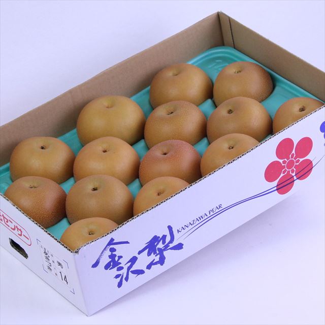 金沢産秋月梨【秀品】12～14玉産地箱入