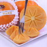 鳥取産輝太郎柿【赤秀品】9玉化粧箱入
