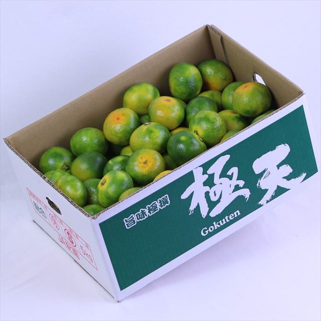 【9月・10月販売】和歌山JA紀南産極早生極天(ごくわせごくてん)みかん【赤秀品】5キロ産地箱入