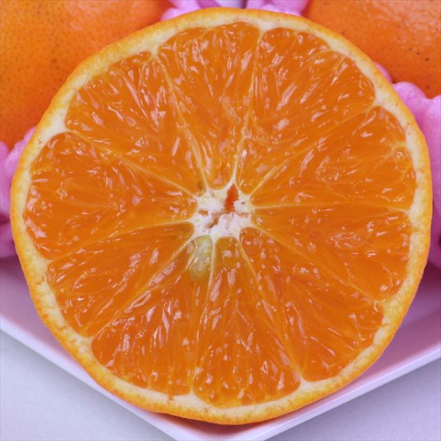 香川産あすみ柑橘「秀品」産地化粧箱入【高糖度系新柑橘】
