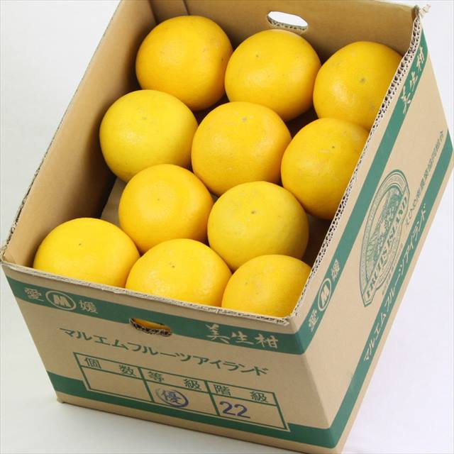 愛媛産マルエムフルーツアイランド産　美生柑(みしょうかん)　10㌔産地箱　22玉入