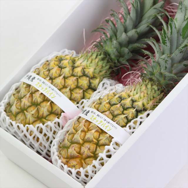 沖縄産スナックパイン　2玉化粧箱入