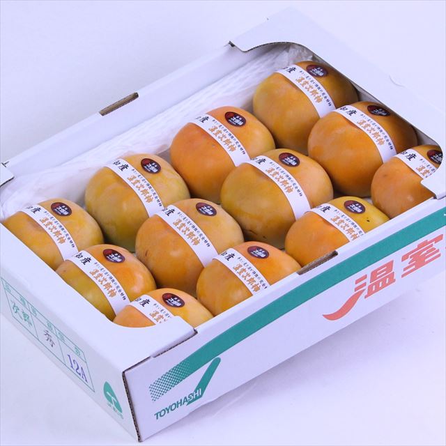 愛知産温室次郎柿【秀品】産地箱入