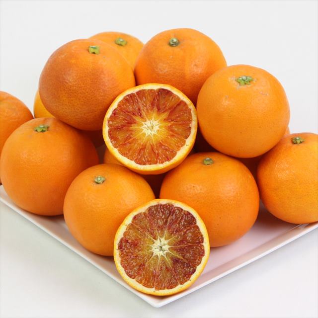愛媛西宇和産真穴のタロッコオレンジ【秀品】2キロ産地箱入