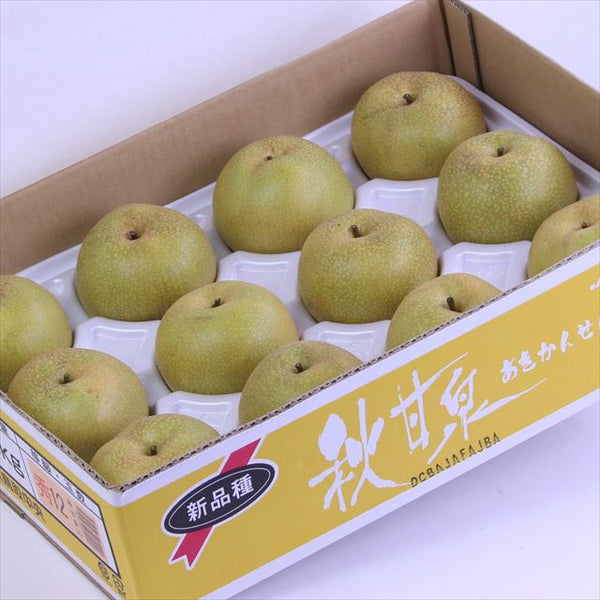 鳥取産秋甘泉(あきかんせん)【赤秀品】12～14玉産地箱入