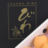 【6月販売】香川産　陽玉(ようぎょく)びわ　【赤秀品】 産地化粧箱入