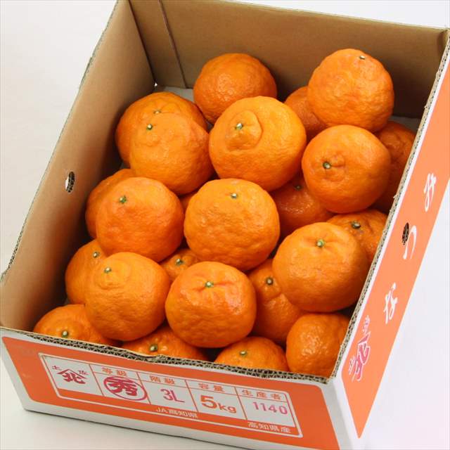 高知山北産なつみ柑橘【秀品】5㎏産地箱入