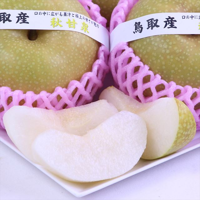 鳥取産秋甘泉(あきかんせん)【赤秀品】12～14玉産地箱入