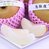 鳥取産新甘泉(しんかんせん)【赤秀品】9玉化粧箱入