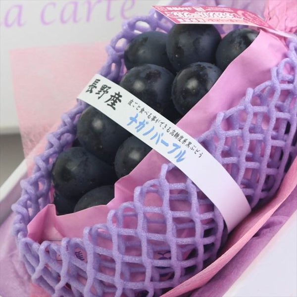 【６月販売】長野産ナガノパープル【秀品】1房化粧箱入