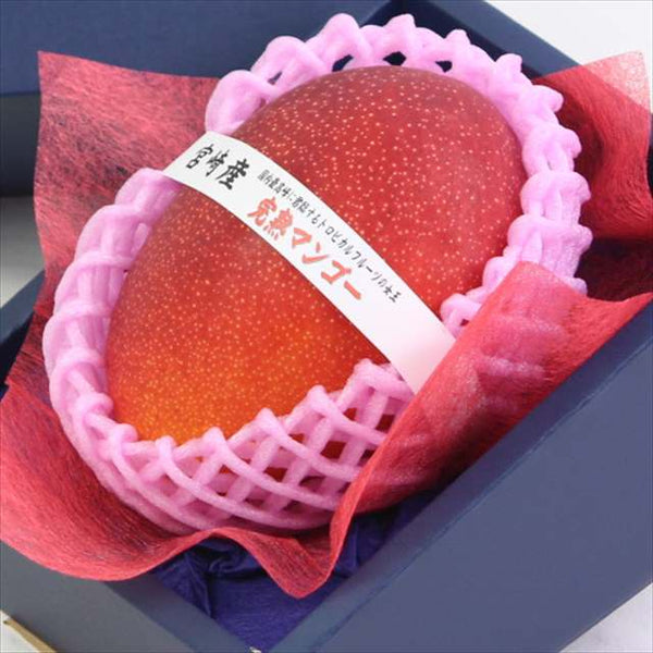 宮崎産完熟マンゴー【赤秀A品】3Lサイズ1玉化粧箱入 – フルーツ