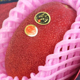 宮崎産完熟マンゴー 太陽のタマゴ「赤秀品」3Lサイズ1玉化粧箱入