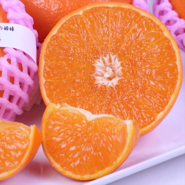 佐賀産はまさき 【赤秀品】6玉入化粧箱