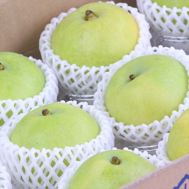 鳥取産露地二十世紀梨【赤秀品】玉産地箱入