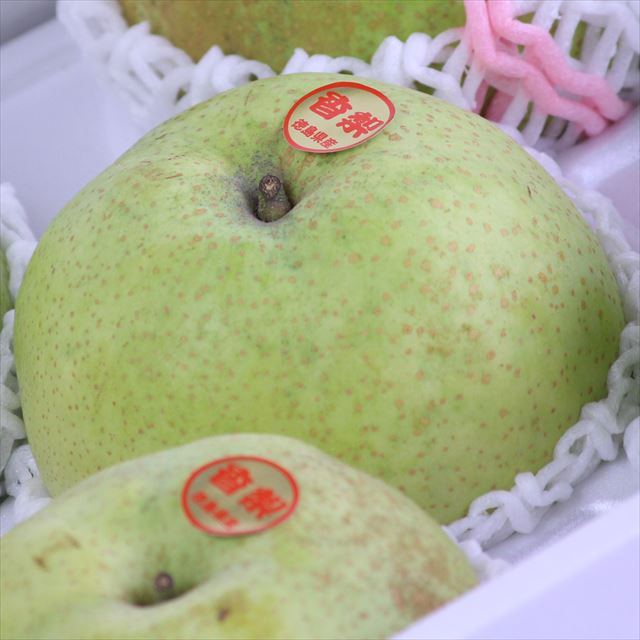 徳島産香梨(かおり)【赤秀品】6～8玉産地箱入