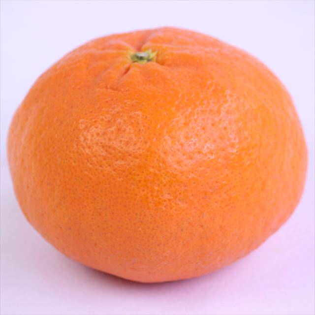 愛媛産甘平(かんぺい)【赤秀品】6玉化粧箱入