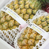 沖縄産スナックパイン　2玉化粧箱入