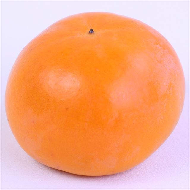 奈良西吉野産富有柿【赤秀品】6玉化粧箱入