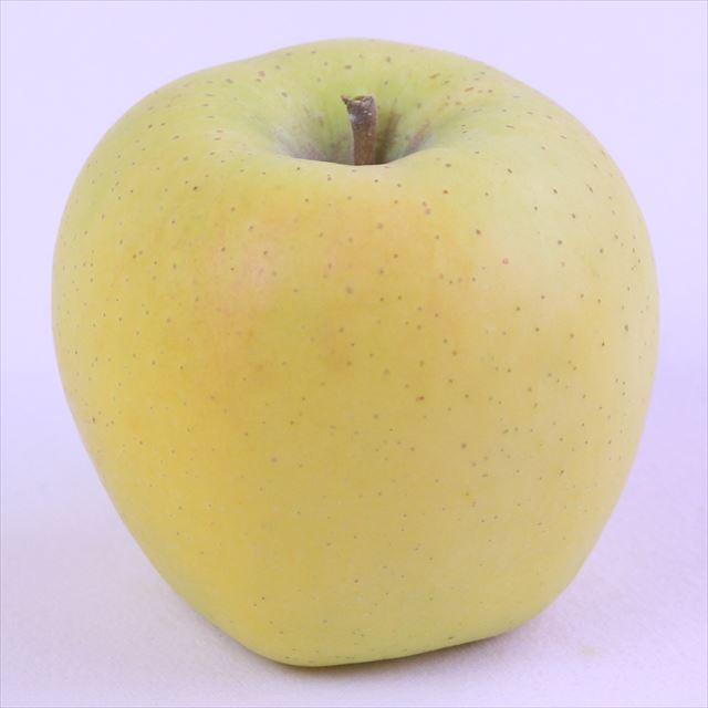 長野産シナノゴールド【特秀品】9玉化粧箱入
