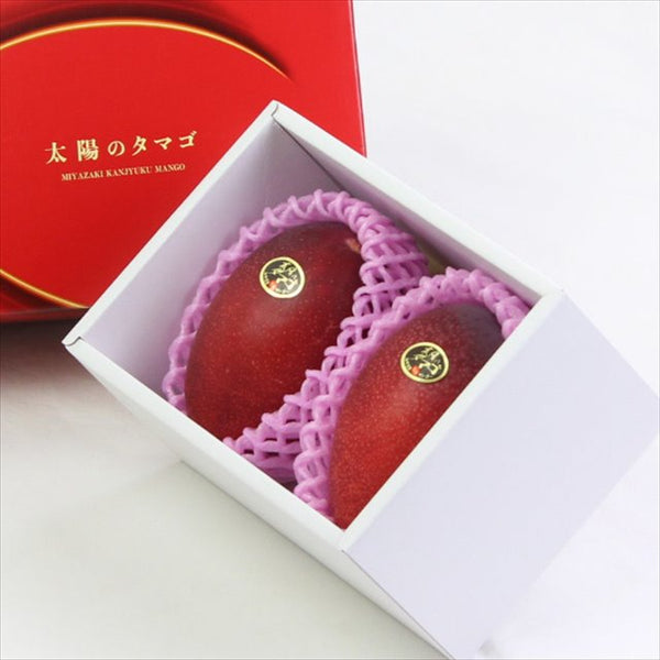 宮崎産完熟マンゴー 太陽のタマゴ「青秀品」4Lサイズ2玉産地化粧箱入
