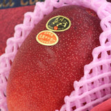 宮崎産完熟マンゴー 太陽のタマゴ「赤秀品」4Lサイズ1玉化粧箱入
