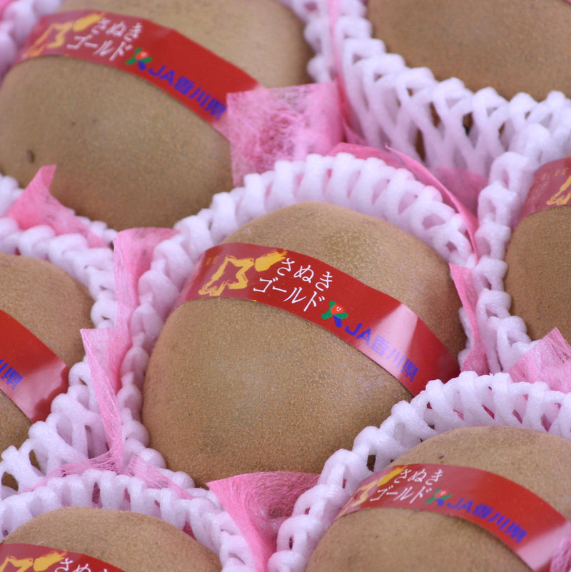 香川産さぬきゴールド【黄様(おうさま)】大玉5Lサイズ産地化粧箱入