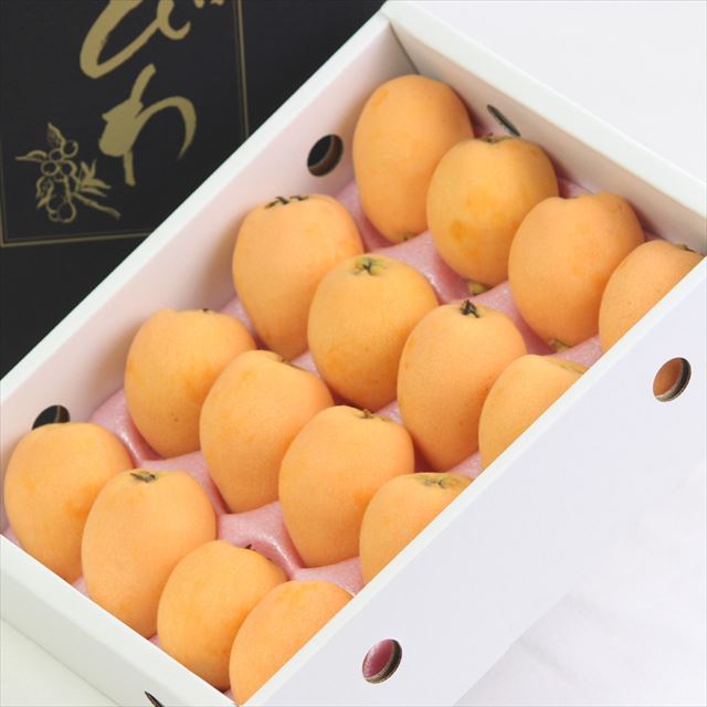 【5月販売】香川産　陽玉(ようぎょく)びわ　【赤秀品】 産地化粧箱入