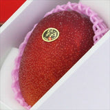 宮崎産完熟マンゴー 太陽のタマゴ「赤秀品」5Lサイズ1玉産地化粧箱入