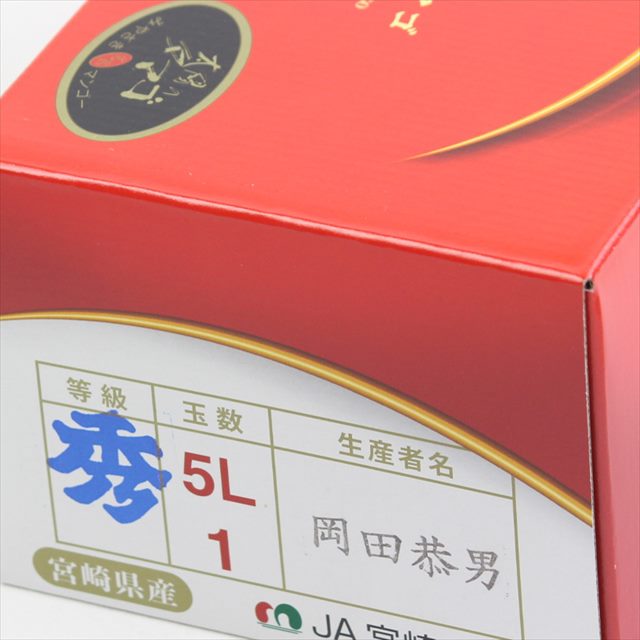 宮崎産完熟マンゴー 太陽のタマゴ「青秀品」5Lサイズ1玉産地化粧箱入