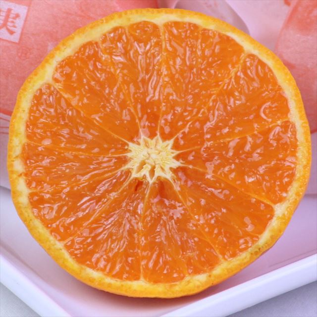 和歌山産なつみ柑橘【秀品】産地化粧箱入