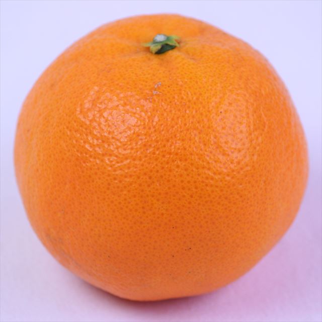 香川産あすみ柑橘「秀品」産地化粧箱入【高糖度系新柑橘】