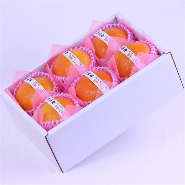 愛媛産宮内いよかん【赤秀品】6玉化粧箱入
