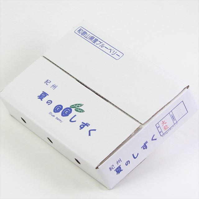 和歌山産ブルーベリー　夏のしずく【大粒】　