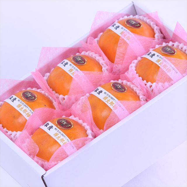 鳥取産輝太郎柿【赤秀品】6玉化粧箱入