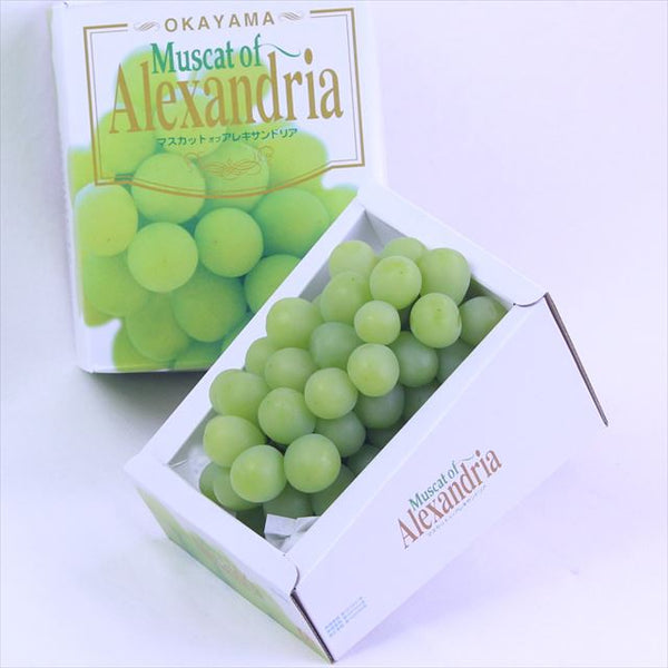 【7月販売】岡山産マスカットオブアレキサンドリア【特秀品】　1房化粧箱入