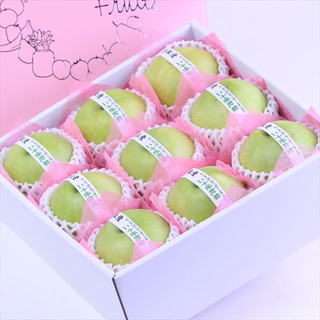 鳥取産露地二十世紀梨【赤秀品】9玉化粧箱入